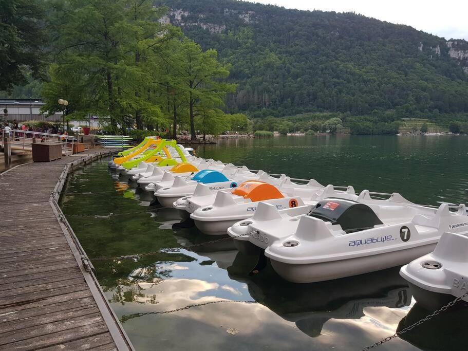 Joli Appartement En Face De Lac Nantua Bagian luar foto