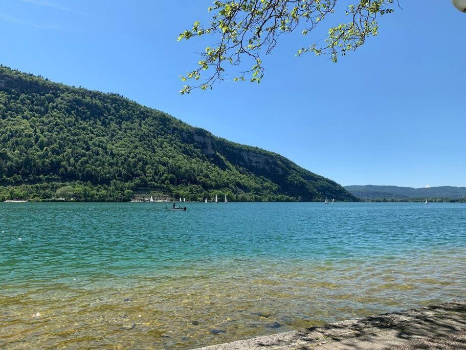 Joli Appartement En Face De Lac Nantua Bagian luar foto