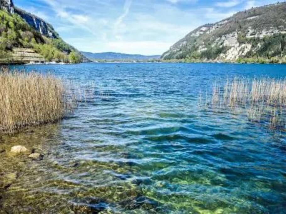 Joli Appartement En Face De Lac Nantua Bagian luar foto