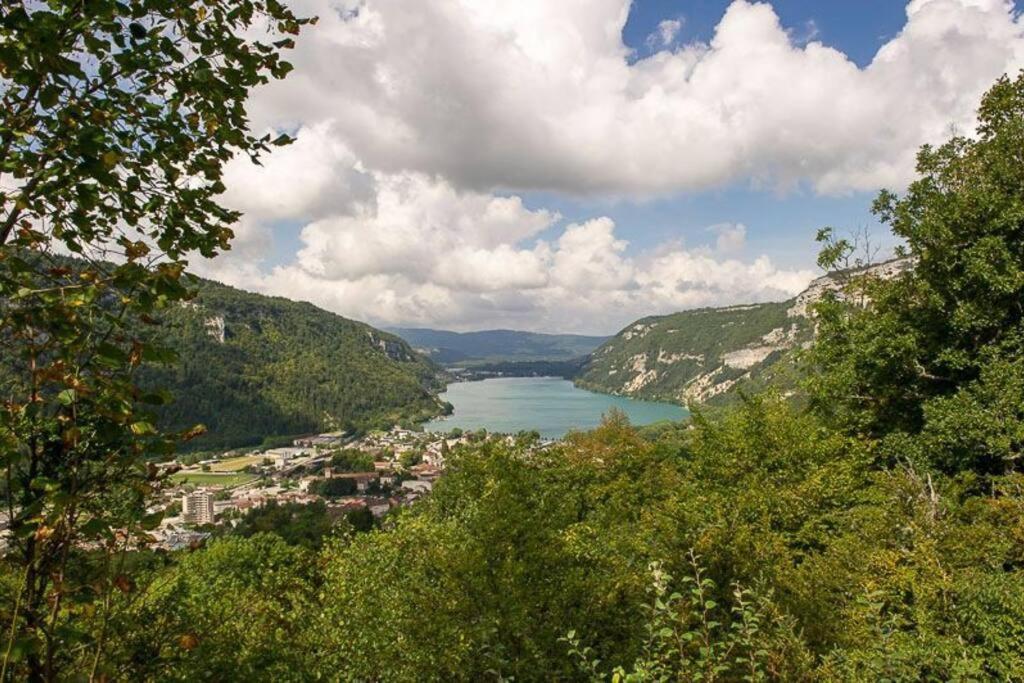 Joli Appartement En Face De Lac Nantua Bagian luar foto